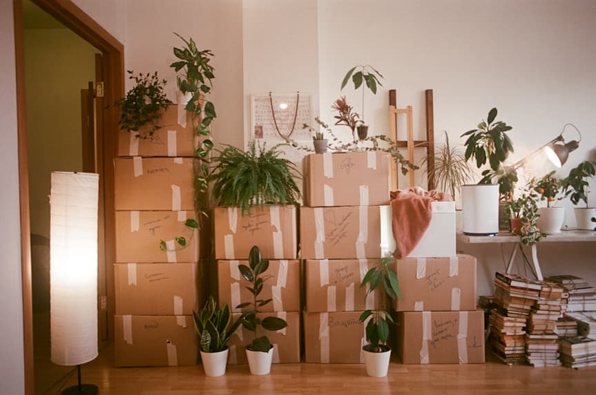 Furniture Moving Services